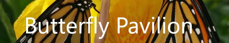 butterfly pavilion slider